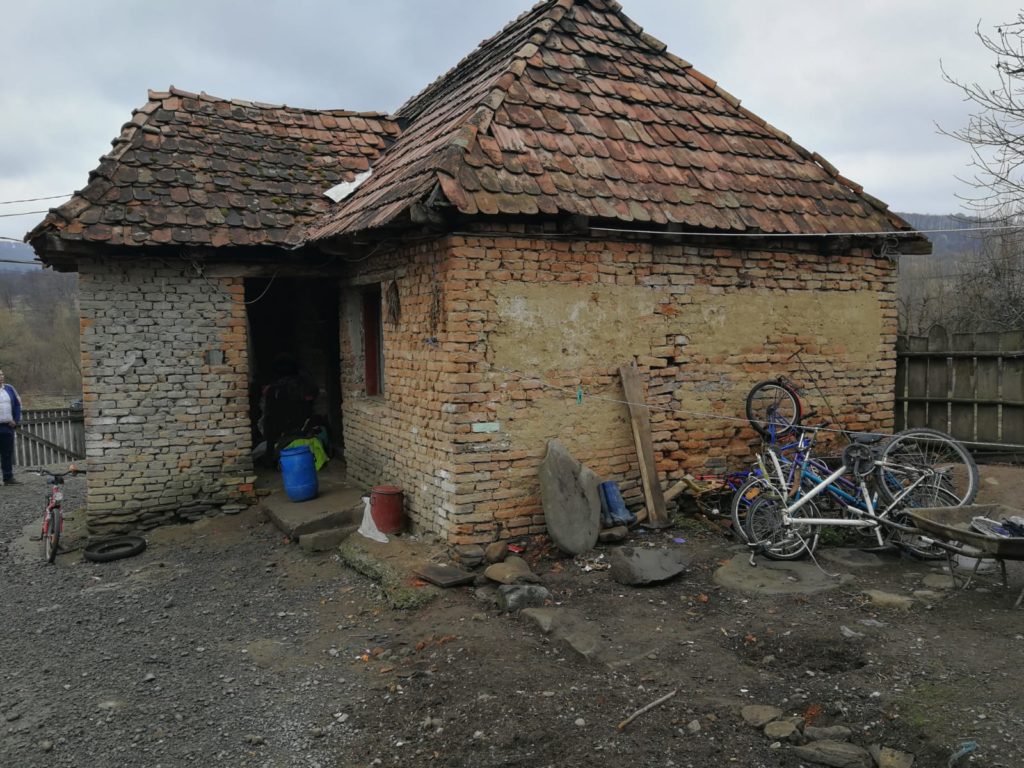 criseni (1)