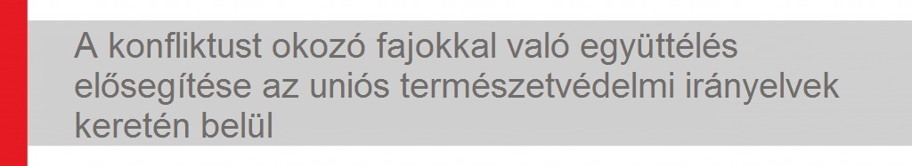 ELNOKI WEBOLDAL BANNER