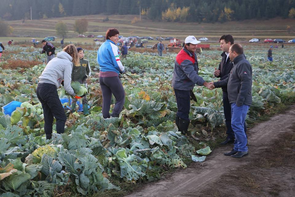 43877776_739663289726831_7415903451982331904_n