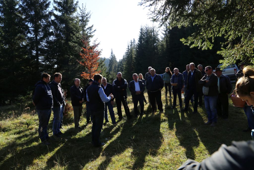 TerepszemleFarkaspalloDamuk_2018okt17 (2)