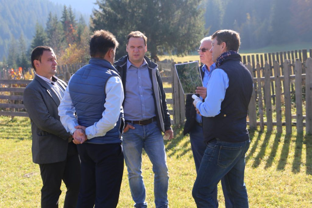 TerepszemleFarkaspalloDamuk_2018okt17 (4)