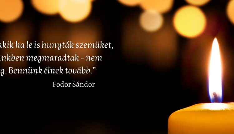 WhatsApp Image 2023-11-01 at 08.32.39_3979b399